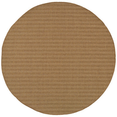Arriola Rug