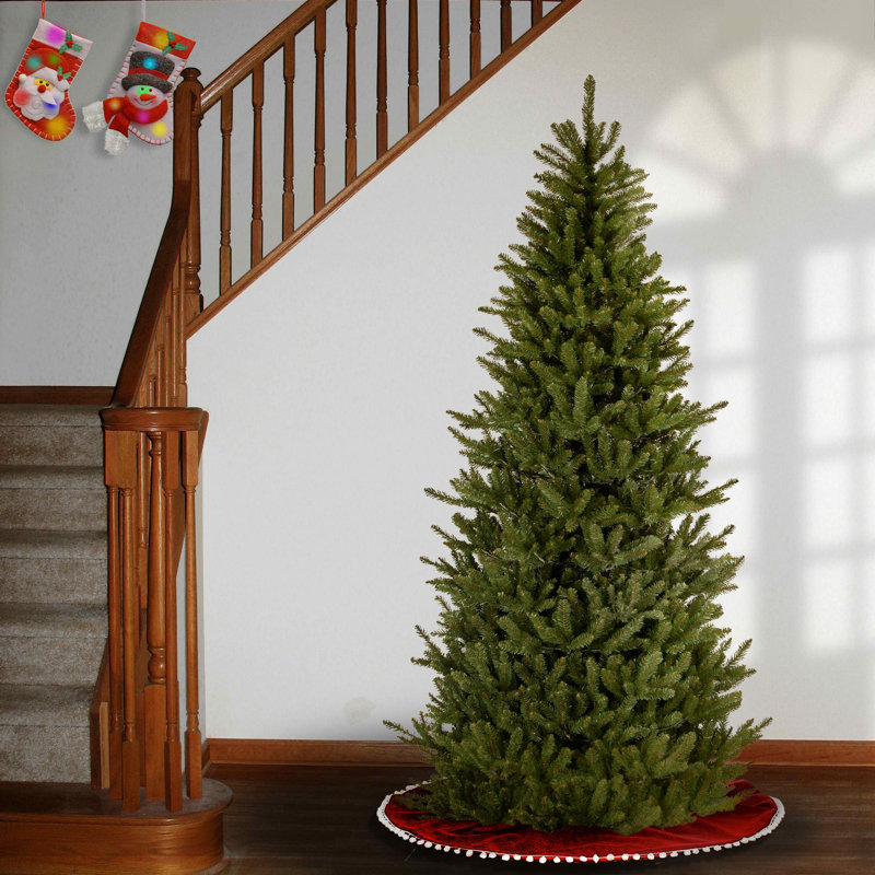 Sapin Fraser effilé d'aspect naturel, 9 pi