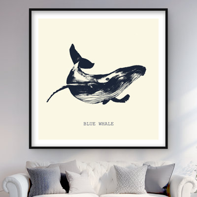 Croquis de baleine bleue - reproduction encadrée mate pour la décoration intérieure