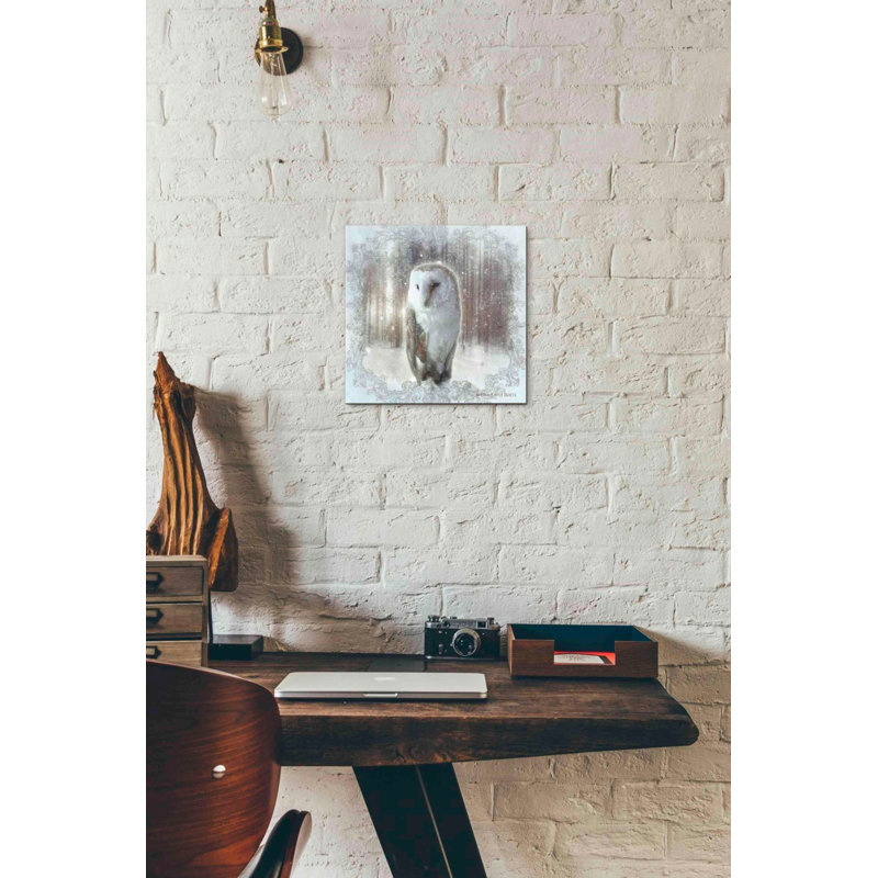 «Enchanted Winter Owl» par Bluebird Barn, art mural sur toile, H 12 po x l 12 po x P 0,75 po
