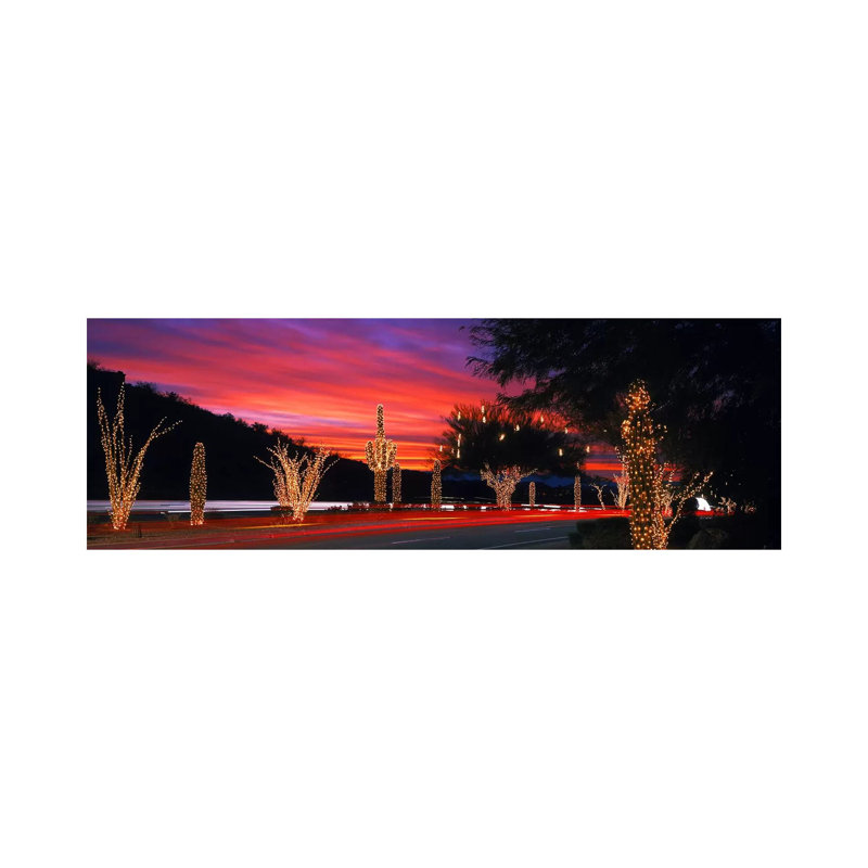 Christmas Lights On Roadside Cacti & Trees, Phoenix, Arizona, USA - Wrapped Canvas Panoramic Print, 182.88 cm H x 60.96 cm W