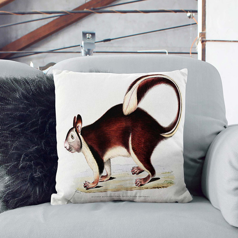Square Cushion, 55cm H x 55cm W x 20cm D, White