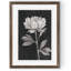 «Black and White Flowers III» par Paul Cezanne - Peinture sur toile encadrée-139021970-139021978