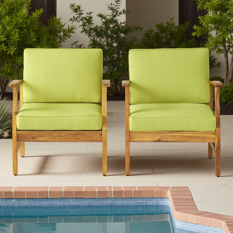 Ensemble de 2 fauteuils club, Vert, Brun