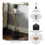 Table d'appoint 21 po en acrylique Elisia