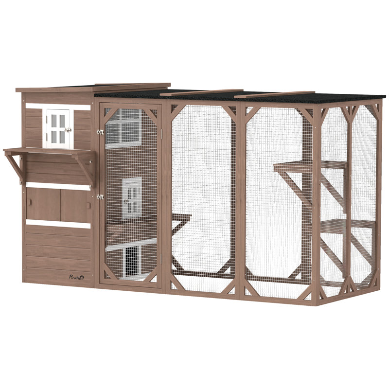 Catio d'extérieur, grande enceinte en bois pour chat avec conception à plusieurs niveaux