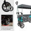 Wagon pliable à pousser et tirer avec auvent amovible, gris