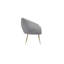 Jaylynn Upholstered Accent Chair-1064486727