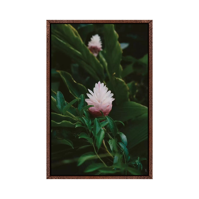 Tropical Hawaii IX by Bethany Young - Print on Canvas, 101.6cm H x 66.04cm W x 3.81cm D, Classic Brown Wood Framed