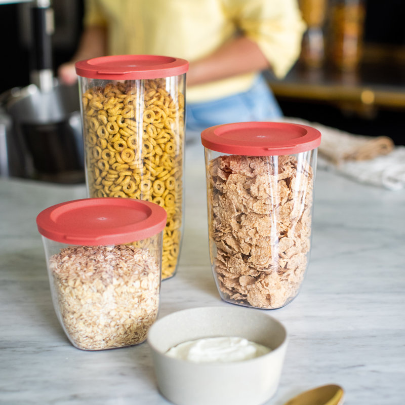 CONNECT 35ml Food Storage Container, Clear/Ash Grey