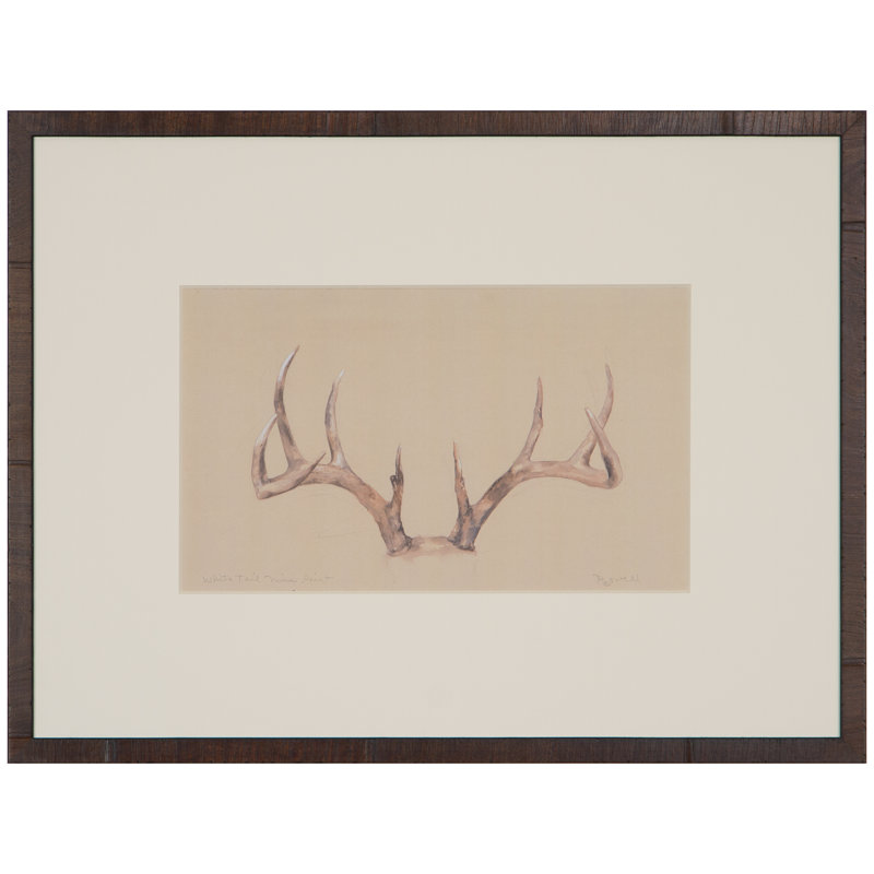 White Tail Nine Point - Peinture encadrée