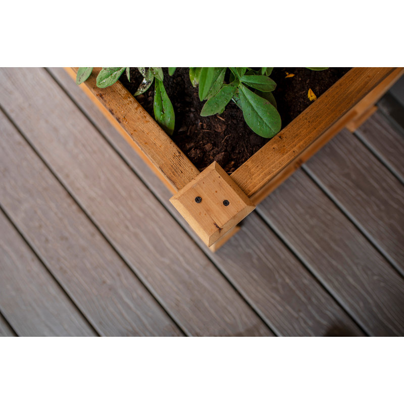 Golden Brown Cedar Wood Planter with Trellis