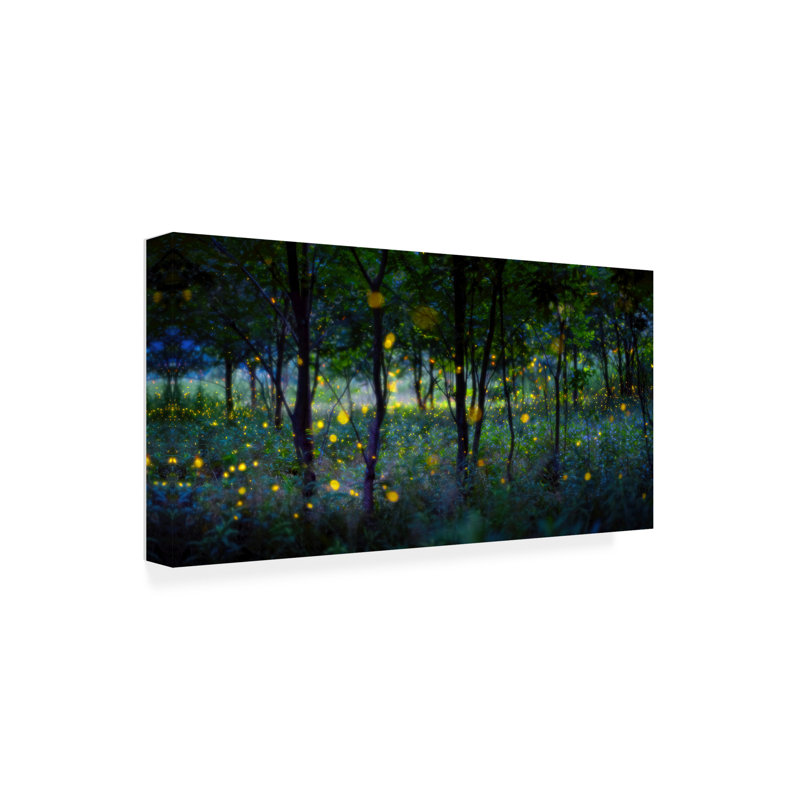 Magie des lucioles sur toile, L 24 po x H 12 po