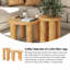 Ensemble de 2 tables basses Farmhouse