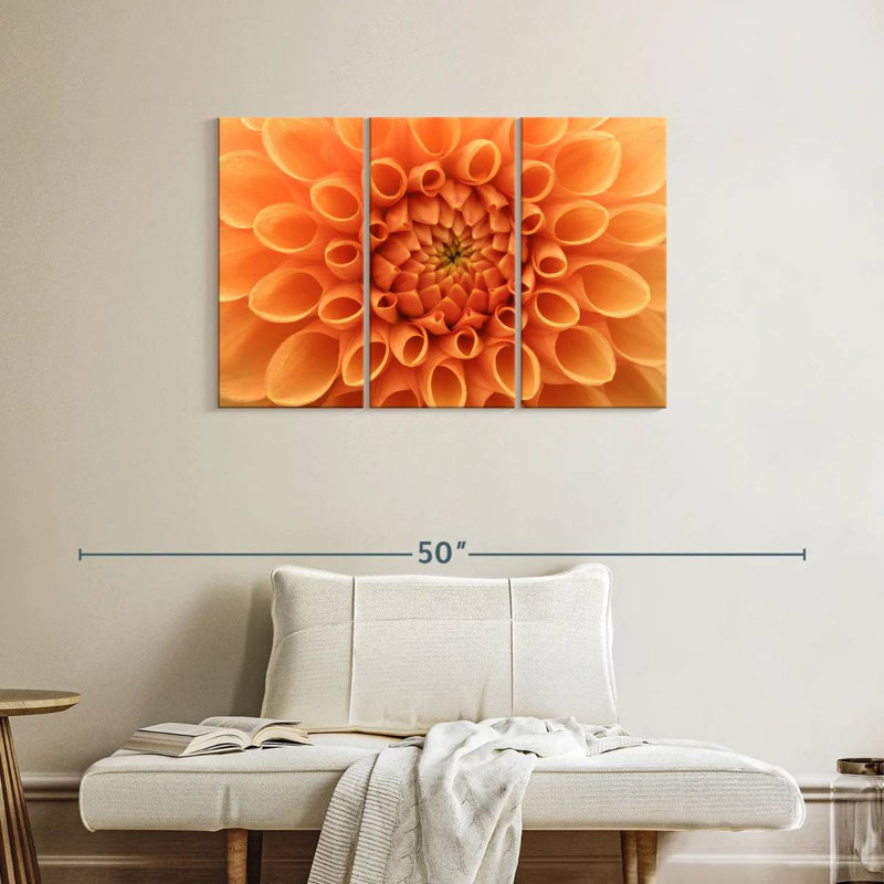 Harnek Dahlia Sandra, H 24 po x l 38 po