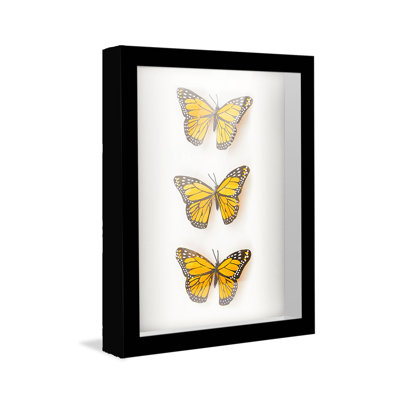Red Solid Wood Shadow Box Picture Frame
