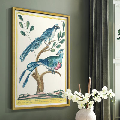«Pastel Birds VI», reproduction encadrée - bois massif
