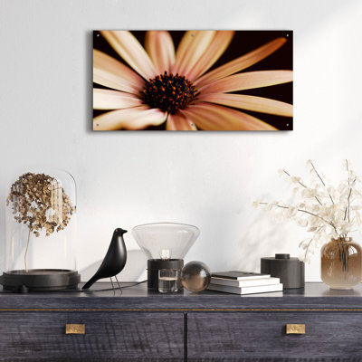 Epic Art «Osteospurmum On Black 02» par Tom Quarter «Osteospurmum On Black 02» par Tom Quartermaine