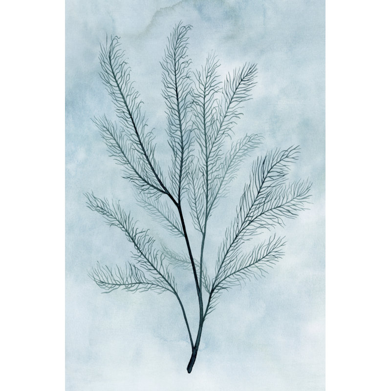 Clouds And Coral I by Grace Popp - Wrapped Canvas Print, 46cm H x 30cm W