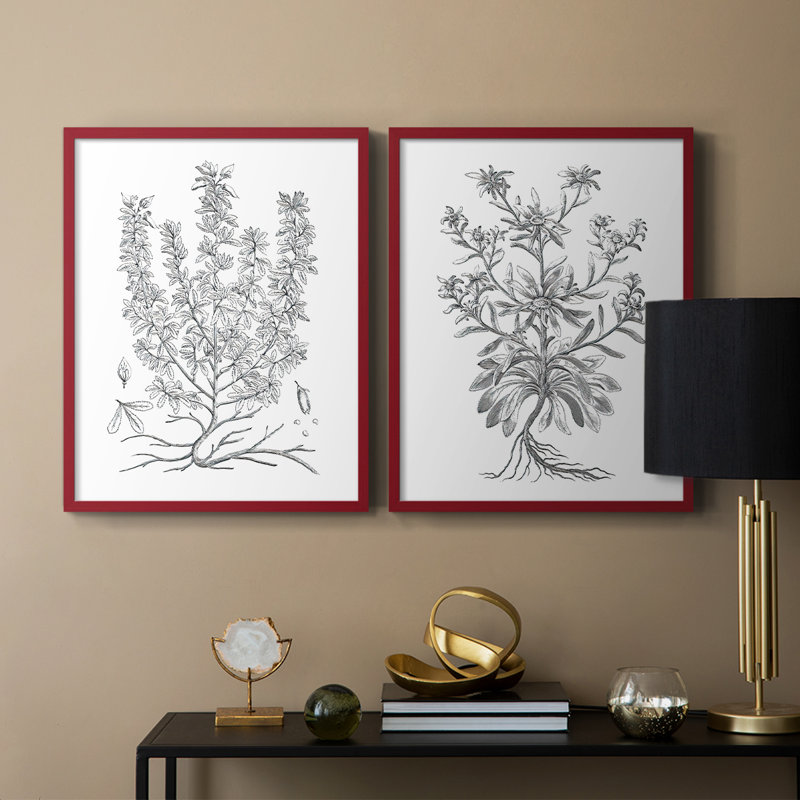 Reproduction encadrée V-Premium de B & W Plant - prêt à être accroché - aucun clou requis - aucun clou requis, Rouge