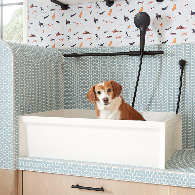 Linwald 36" Free Standing Single Basin Stone Composite Dog Washing Station, Gold