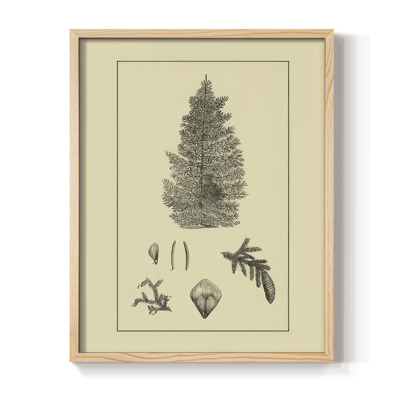 Arbor Study I Framed Print - Solid Wood, 15" H x 12" W, Natural
