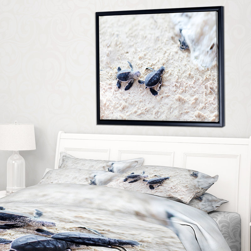 «Baby Green Turtles on Sand», reproduction de photo sur toile tendue encadrée, H 30 po x l 40 po x P 1,5 po