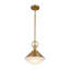 Luminaire suspendu 1 lumière Abruzzo-2055124932