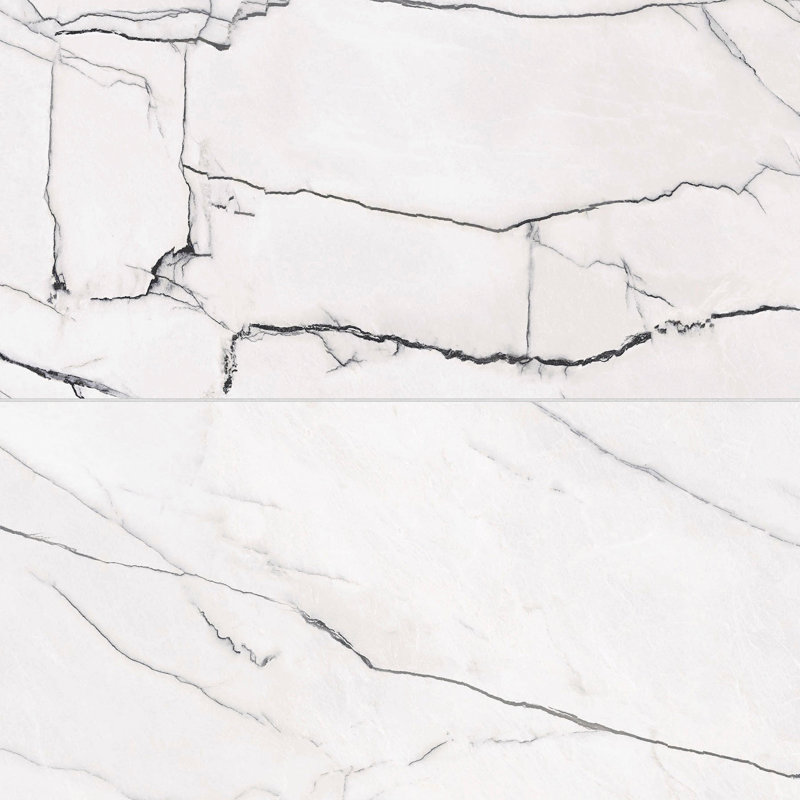 Gemma 24" x 48" Polished Porcelain Marble Look Wall & Floor Tile, Bianca