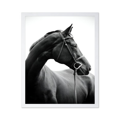 Portrait de cheval n ° 2