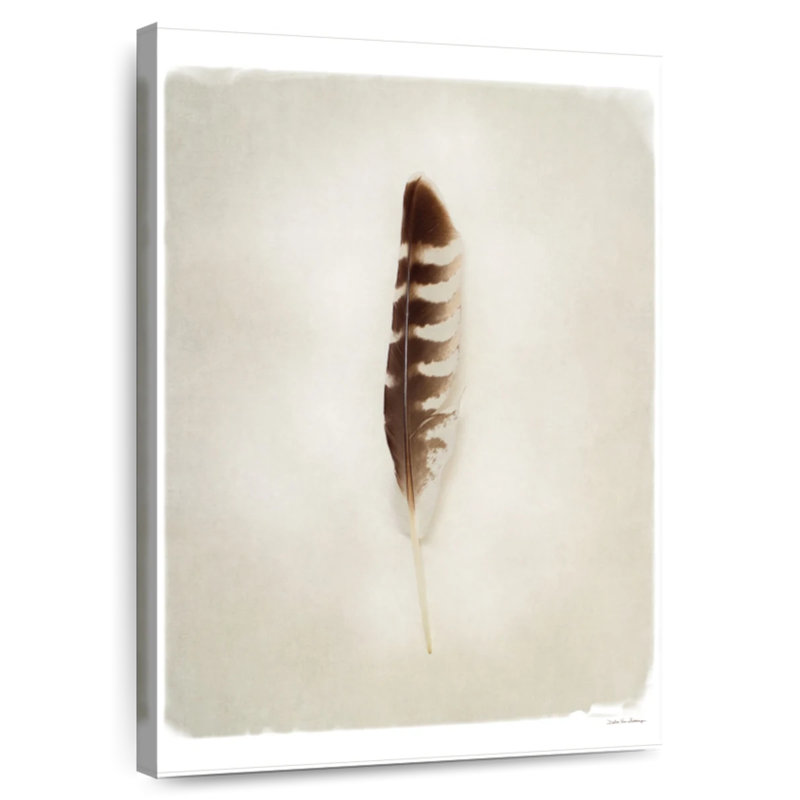 Feather I, 51" H x 34" W