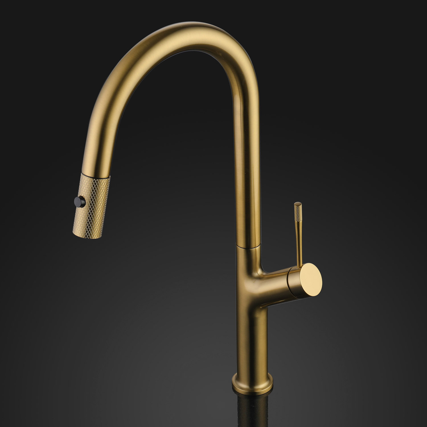 Maestro Bath Swan Pull Out Kitchen Faucet, Brushed Gold