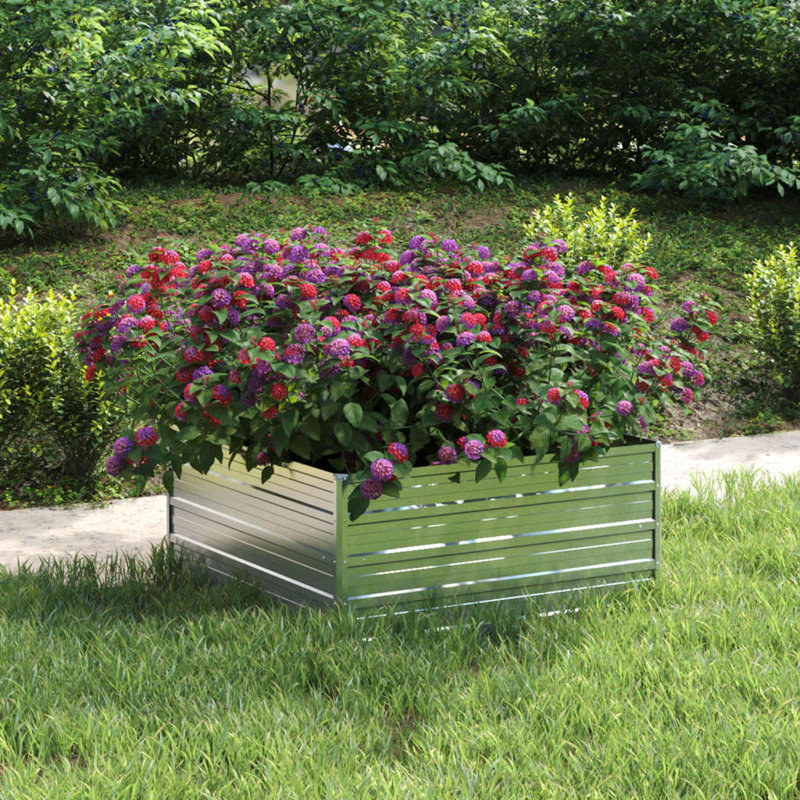 Alezander Metal Raised Flower Bed, 45cm H x 100cm W x 100cm D