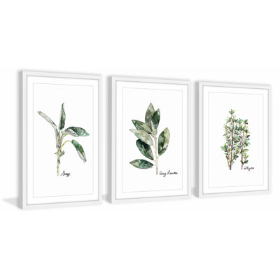 «Herb Trio Triptych», ensemble de 3 reproductions de peintures à l'aquarelle encadrées