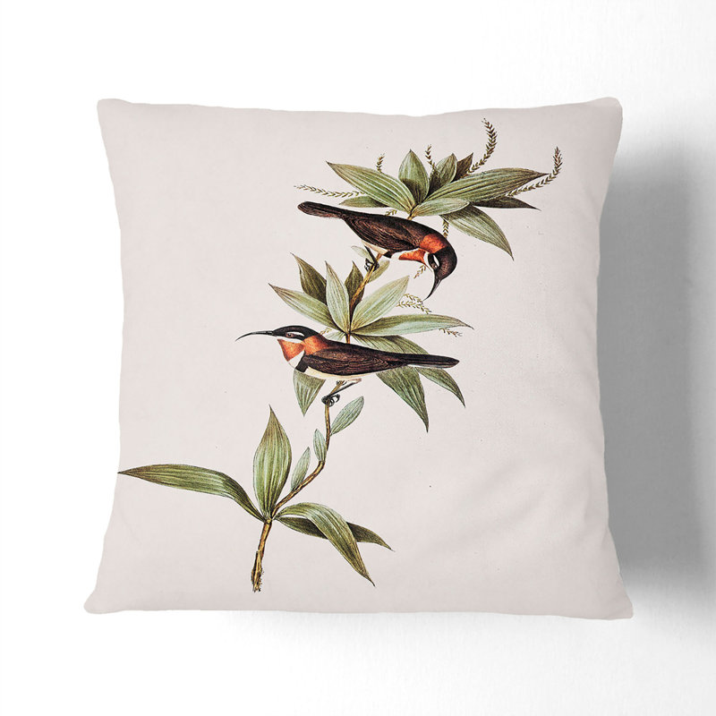 Double Eyebrowed Spinebills by Elizabeth Gould Cushion with Filling, 55cm H x 55cm W x 20cm D