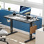 Ovidia Standing & Height-Adjustable Desks