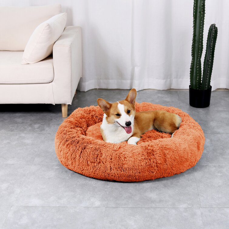 burnt orange dog bed