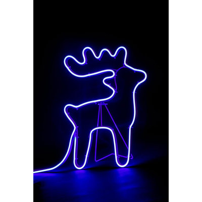 LED Indoor / Outdoor Rope Light