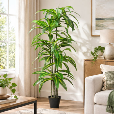Dracaena artificiel de 1,7 m – Arbre tropical artificiel réaliste avec feuilles naturelles et pot en plastique, vert, 1 pièce – Décoration pour la maison, le bureau ou le salon