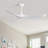 Kemp 52" W Propeller Ceiling Fan-242240093