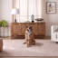 Garrot rose-1561923560