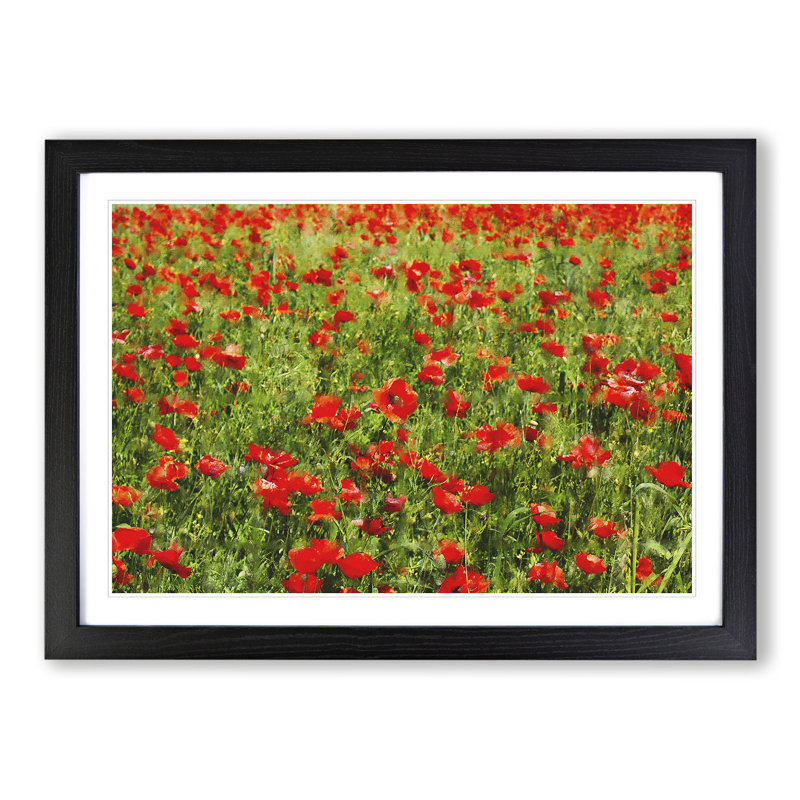 Field of Poppies Vol.2 - Framed Print, Black Framed, 48cm H x 65cm W x 2cm D