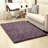 Laeff Indoor Rug-388650820