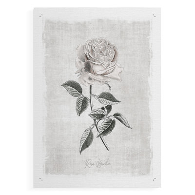 Vintage Botanical I -Canvas Print Only - NOT FRAMED