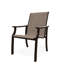 St. Catherine Polymer Outdoor Lounge Chair-1060399202-1057654411