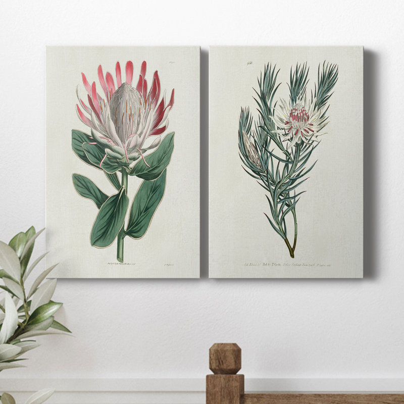 Protea N13 - ensemble de 2 impressions, H 12 po x l 16 po x P 1 po, Toile tendue
