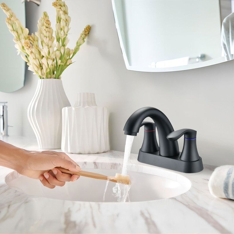 Bathroom Faucet with Drain Assembly, Matte Black
