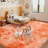 Ultra-Fluffy Soft Non-Slip Shaggy Rug Pet-Friendly Tie-Dye Orange Perfect for Living Rooms, Bedrooms, Nurseries, and Offices Indoor Area Rug-1523642916