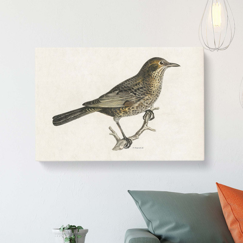 Blackbird - Wrapped Canvas Painting, 50 cm H x 35 cm W