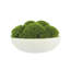 5" Artificial Moss Plant in Planter-729850857